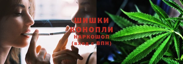 стафф Новозыбков