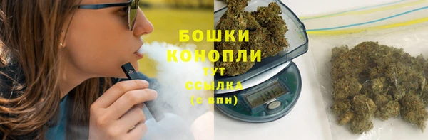 трава Новодвинск