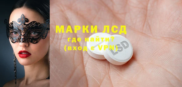 стафф Новозыбков