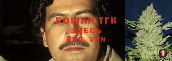 стафф Новозыбков