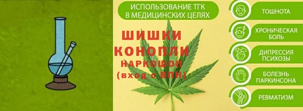 стафф Новозыбков