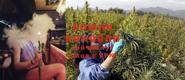 трава Новодвинск
