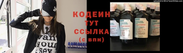 стафф Новозыбков