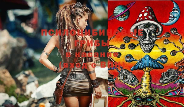 стафф Новозыбков