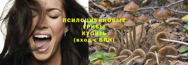 первитин Новокубанск