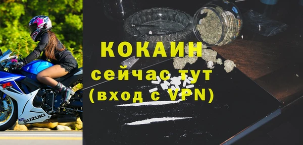 трава Новодвинск