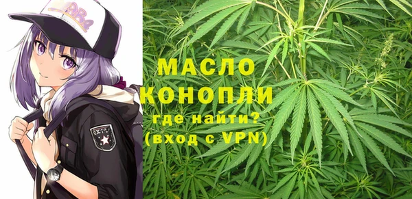 стафф Новозыбков